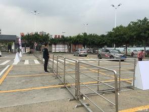 停车场吃瓜广州,吃瓜群众的欢乐时光