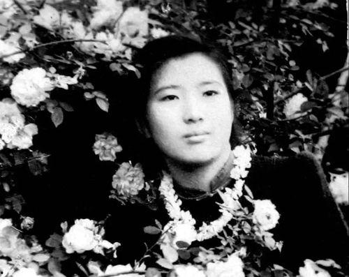 吃瓜王芃芃,揭秘娱乐圈幕后故事