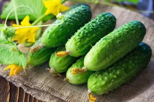 佳慧吃瓜,揭秘娱乐圈那些不为人知的幕后故事