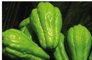 佛手瓜的籽可以吃吗