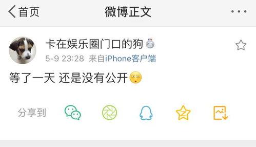 吃瓜爆料片头,一场视觉盛宴的幕后故事