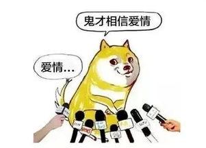 带你吃瓜青蛙