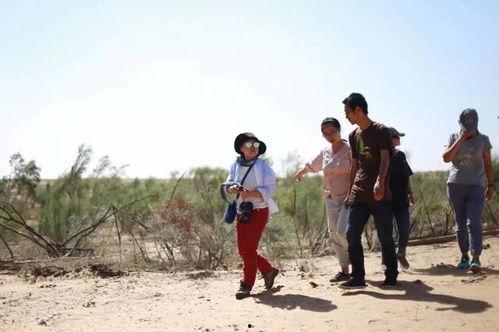 我的农村365吃瓜,一年四季的瓜果飘香之旅