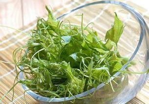 吃羊瓜尖的好处,营养丰富的绿色佳肴，健康生活新选择