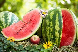 怀念以前吃瓜的图片,那些年我们一起“吃瓜”的日子