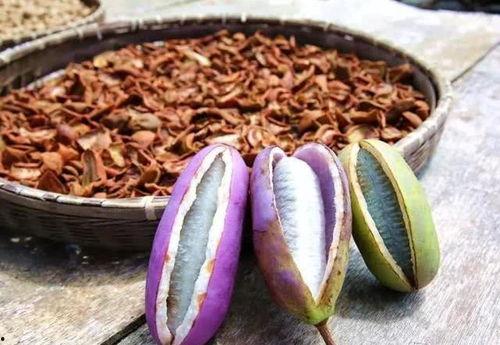 张宇吃八月瓜,一场味蕾的探险之旅