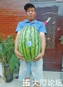 51吃瓜没,揭秘娱乐圈那些不为人知的幕后故事