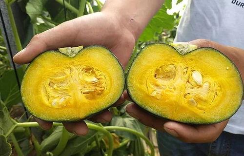 小冯吃瓜,揭秘娱乐圈那些不为人知的幕后故事