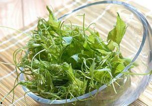 吃羊瓜尖的好处,营养丰富的绿色佳肴，健康生活新选择