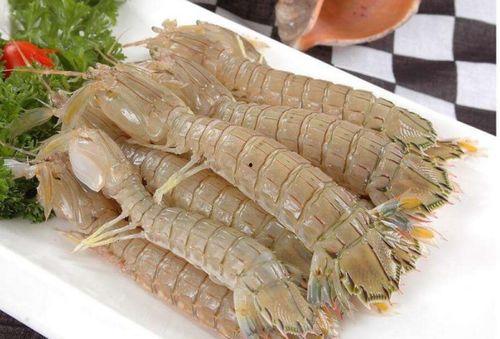 皮皮虾吃呆瓜,一场欢乐的美食冒险之旅