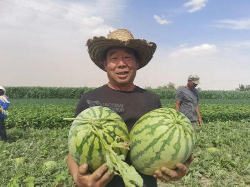 吃瓜群众甘肃省,探寻甘肃省的独特魅力