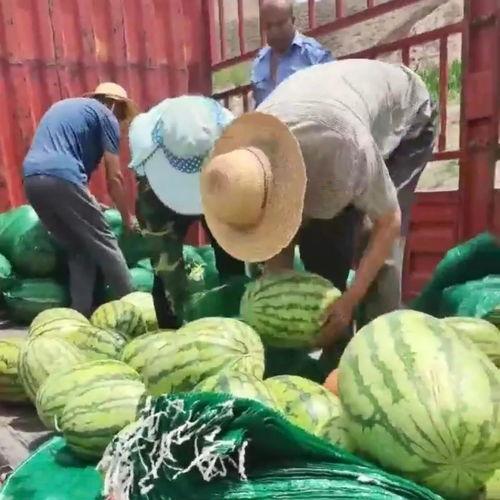 吃瓜群众甘肃省,探寻甘肃省的独特魅力