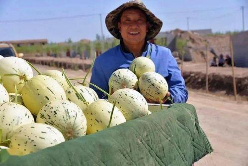 吃瓜群众甘肃省,探寻甘肃省的独特魅力