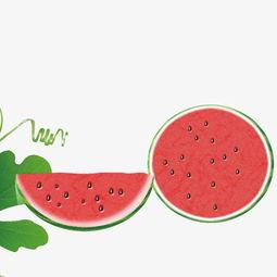 吃瓜视频素材亲嘴图片,明星亲密瞬间，亲嘴画面曝光！