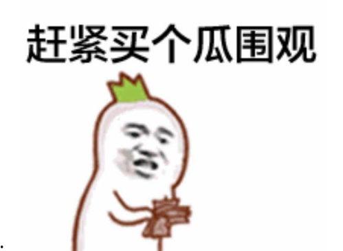 吃瓜群众涛爷,揭秘娱乐圈幕后风云