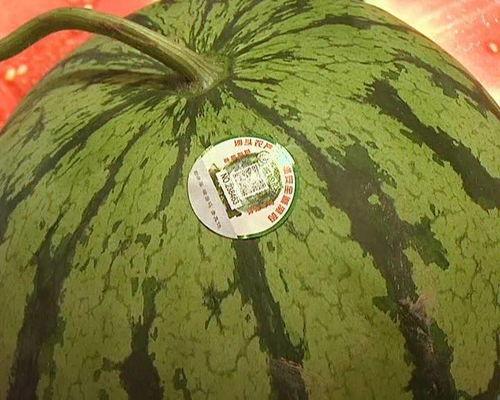 吃瓜文艺说法,娱乐圈那些事儿