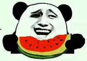 还在吃瓜的图片,揭秘“还在吃瓜”的神秘现象