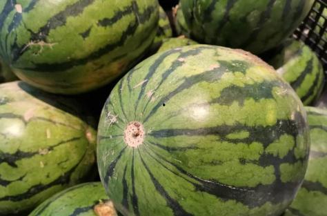 剩瓜可以吃吗,揭秘剩瓜的食用奥秘