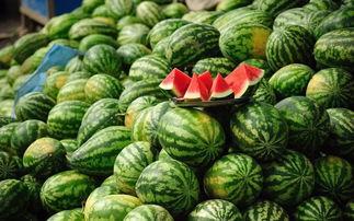 吃田瓜会发胖,警惕过度食用引发肥胖风险