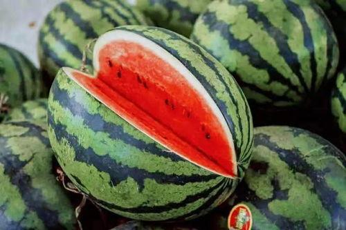 吃瓜甘肃最近,揭秘当地特色美食与民俗风情