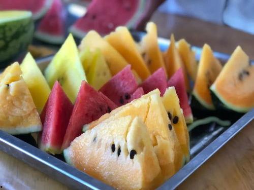 吃瓜甘肃最近,揭秘当地特色美食与民俗风情