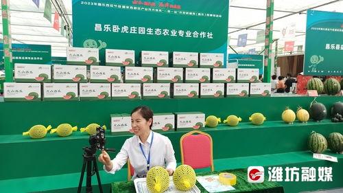 吃瓜现场直播,吃瓜现场，一网打尽娱乐圈风云