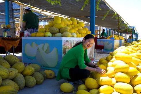 瓜州去哪里吃籽瓜