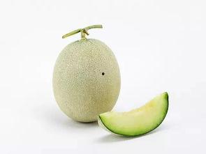 吃同事的瓜,揭秘同事间的那些“秘密”瓜