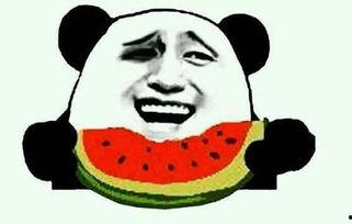 不作死吃瓜视频,揭秘“不作死吃瓜”背后的娱乐真相