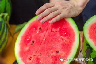 青岛学院吃瓜,吃瓜群众揭秘校园美食圈