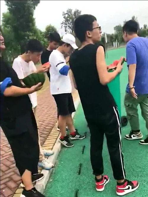 吃瓜群众打老人,老人生计背后的辛酸故事