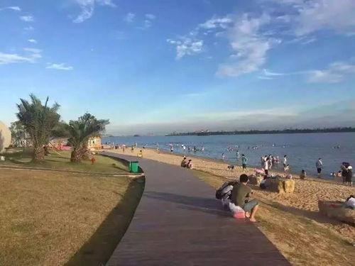 成都沙滩公园吃瓜,成都沙滩公园夏日吃瓜盛宴