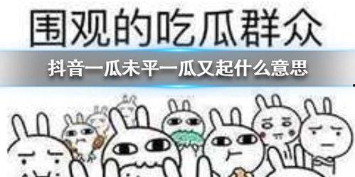 抖音瓜弟吃瓜群,揭秘网络社交圈的“吃瓜”文化