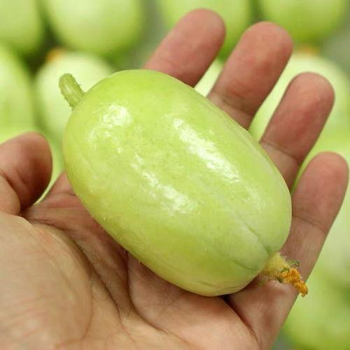 金童玉女瓜咋吃,金童玉女瓜的独特食用方法揭秘