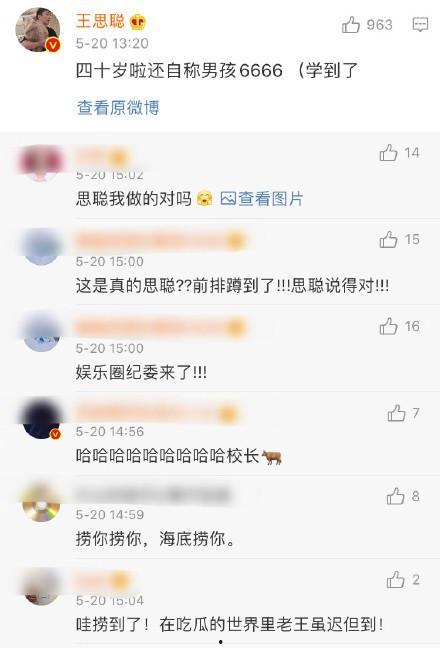 520吃瓜单身狗,单身狗的欢乐盛宴