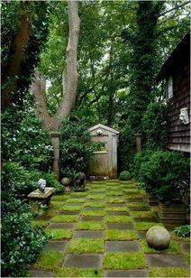 明德院亭子吃瓜,夏日吃瓜，品味悠闲时光