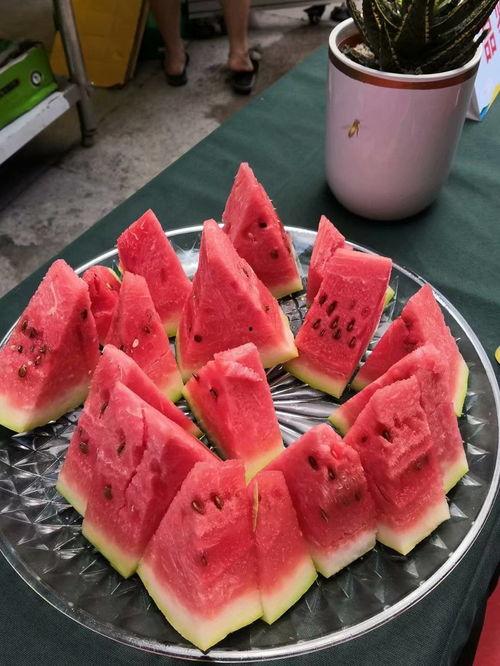 瓜哥带你吃瓜重庆,瓜哥带你探秘重庆美食之旅