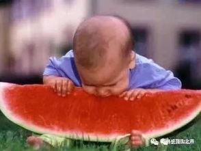 吃瓜卡住,揭秘网络热议背后的真相与反思