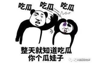 吃瓜卡住,揭秘网络热议背后的真相与反思