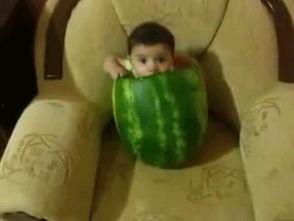 吃瓜群众笑话图片,图解生活幽默瞬间