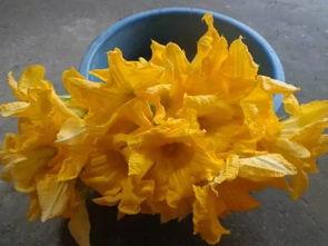 掌上吃瓜,揭秘娱乐圈幕后故事