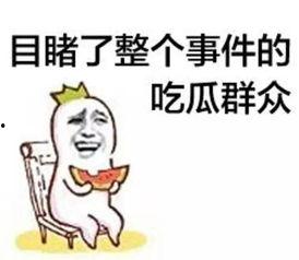 吃瓜群众贝哥,揭秘娱乐圈幕后故事