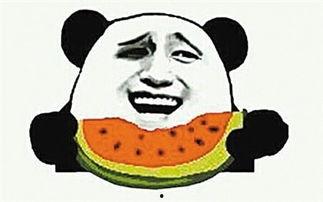 吃瓜群众贝哥,揭秘娱乐圈幕后故事