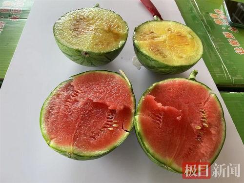 飞料吃瓜,揭秘娱乐圈幕后真相