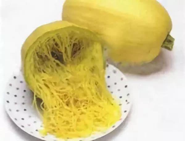 婴儿可以吃金丝绞瓜吗