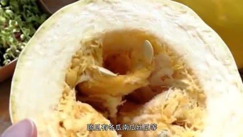 吃能拉丝的瓜,尽享拉丝瓜的美味之旅