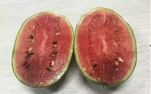 西西吃瓜长了西瓜,西瓜成长记