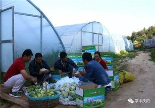 梓潼吃瓜群众