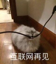 安静最新吃瓜视频